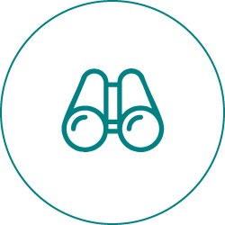 Insights Icon