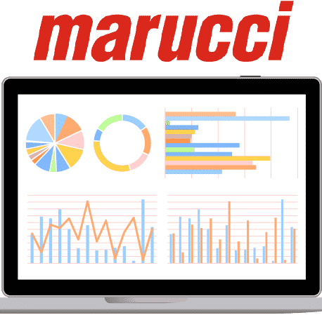 IronEdge Group Power BI for Marucci